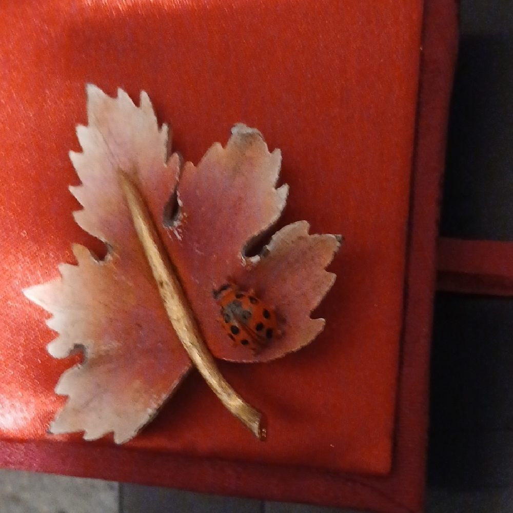 Vintage Park Lane Brooch with Ladybug Accent